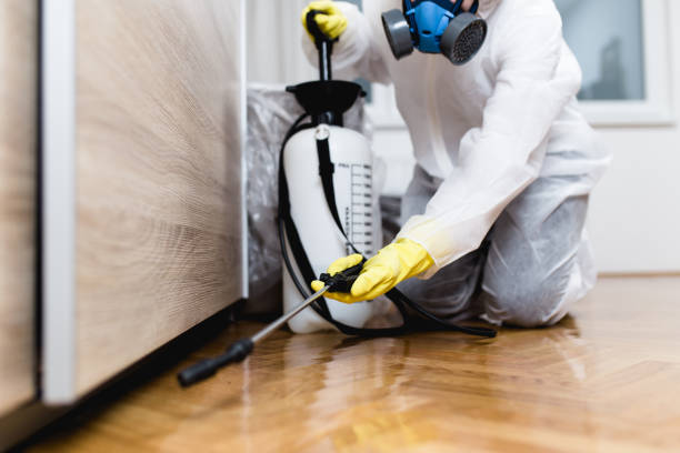 Trusted Idabel, OK Pest Control Experts