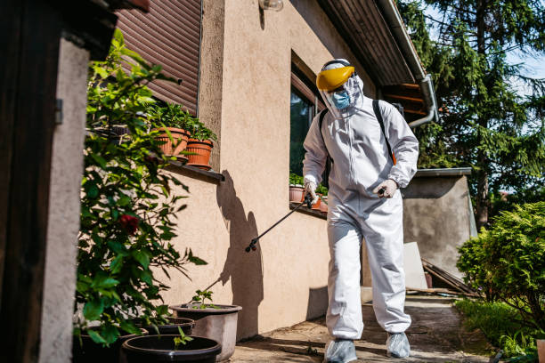 Best Insect Control  in Idabel, OK