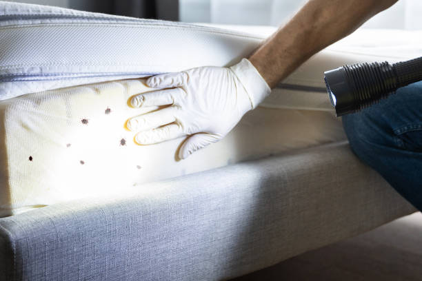 Best Pest Removal Services  in Idabel, OK