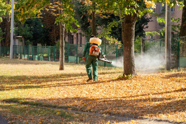Best Wildlife Control Services  in Idabel, OK