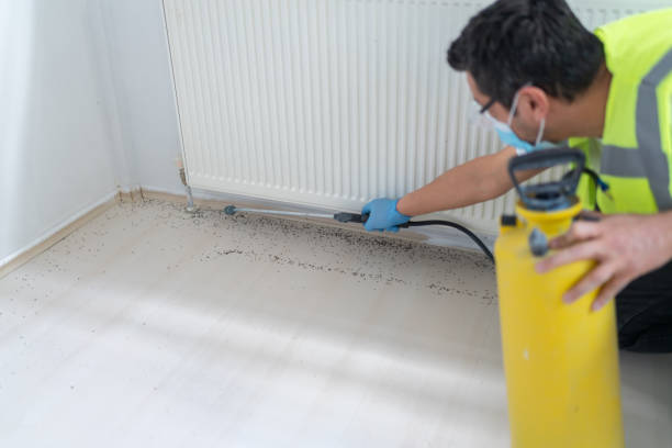 Best Termite Control Services  in Idabel, OK