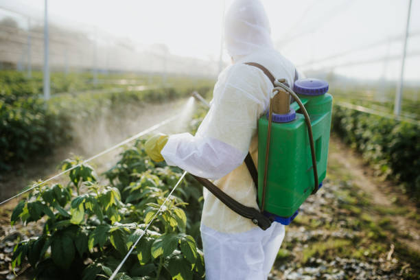 Pest Prevention Services in Idabel, OK